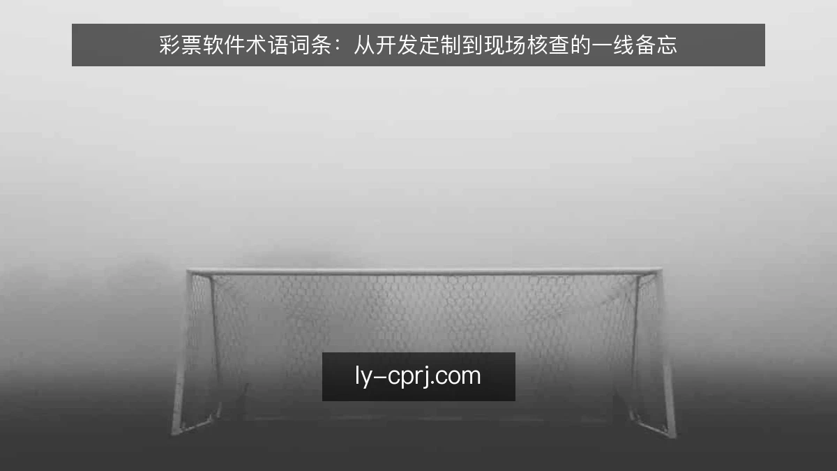 彩票软件术语词条：从开发定制到现场核查的一线备忘