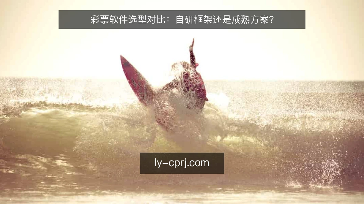 彩票软件选型对比:自研框架还是成熟方案?