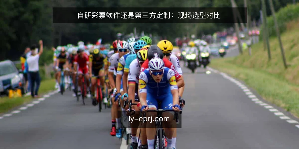 自研彩票软件还是第三方定制:现场选型对比 — 设定选型场景:两种路线的分岔点 配图