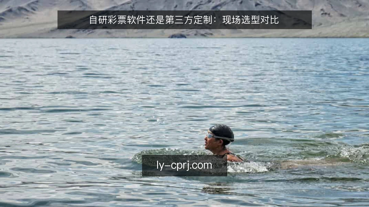 自研彩票软件还是第三方定制:现场选型对比