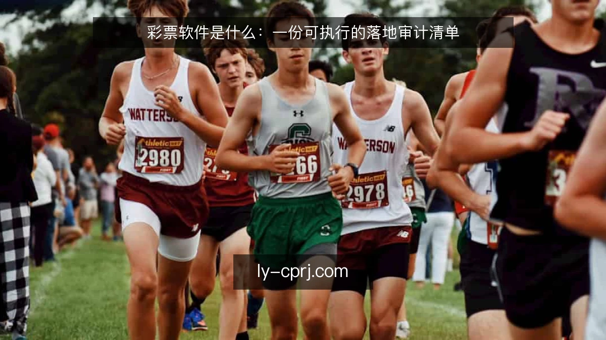 彩票软件是什么:一份可执行的落地审计清单