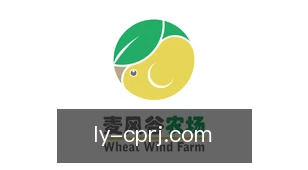 彩票软件